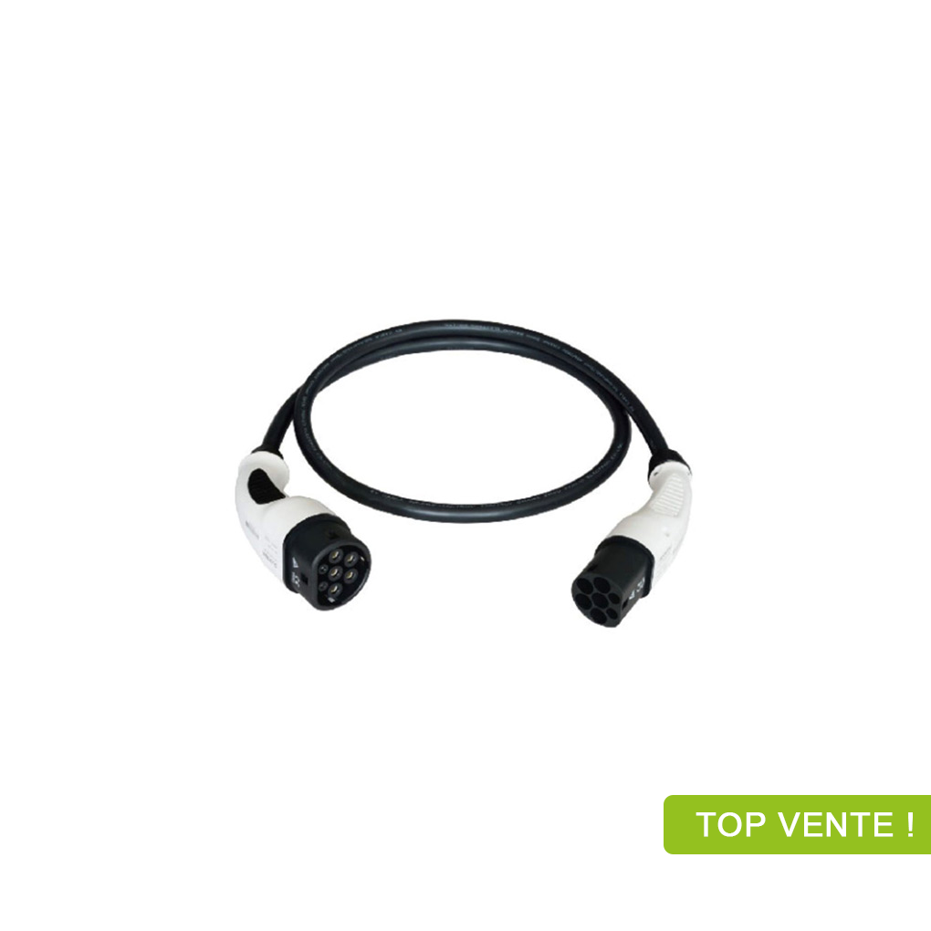 Câble de charge pour borne blanc et noir