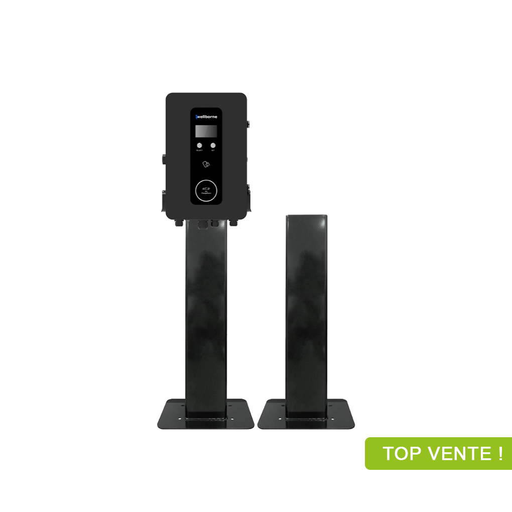 Pied de maintien pour borne de maintien